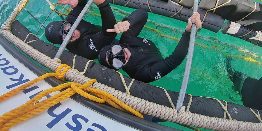 Shark & Whale Trip Combo - The best way to prepare