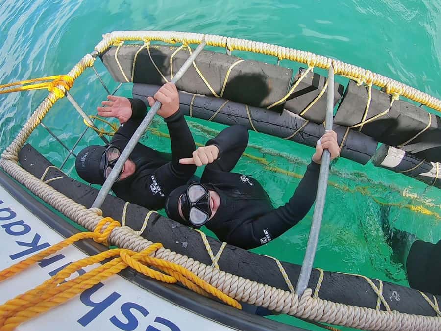 Shark & Whale Trip Combo - Who will enjoy this most?