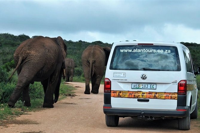 Shore Excursion Cruise Ships Port Elizabeth, Addo Elephant Park - Crossing Addo from south to north