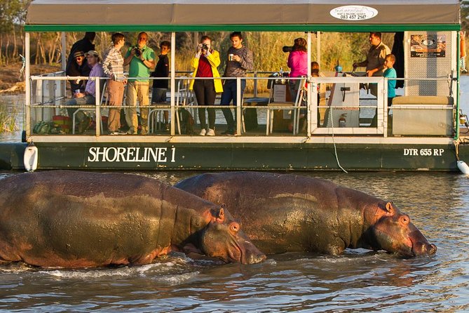 Shoreline Hippo and Crocodile Boat Cruises, iSimangaliso Wetland Park - Why Lake St Lucia deserves time on your itinerary