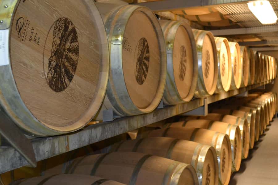 Sip & Savor : A Perfect Half-day Wine Escape to Stellenbosch - Five things worth knowing before you book