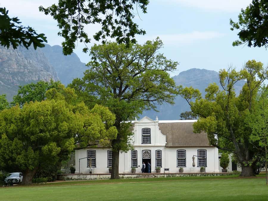 Sip & Savor : A Perfect Half-day Wine Escape to Stellenbosch - Leaving Cape Town for the Winelands