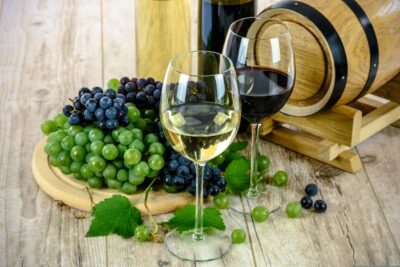 Sip & Savor : A Perfect Half-day Wine Escape to Stellenbosch
