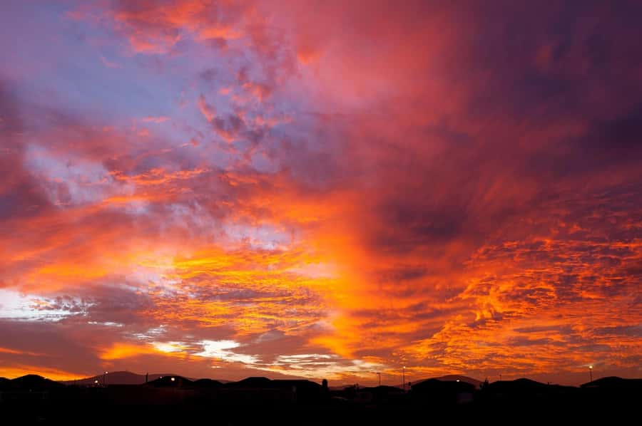 Sip & Savor : A Perfect Half-day Wine Escape to Stellenbosch - What the guide adds to the day