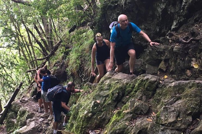 Skeleton Gorge Hike on Table Mountain - Key details worth knowing before you book