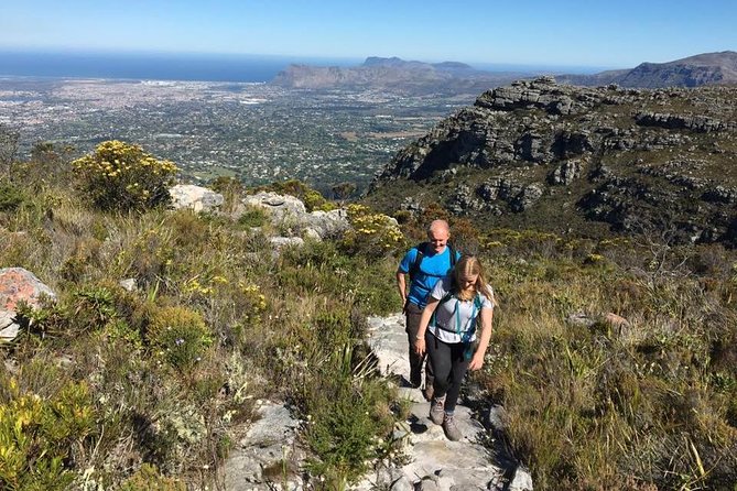 Skeleton Gorge Hike on Table Mountain - The shaded forest and Skeleton Gorge ladders