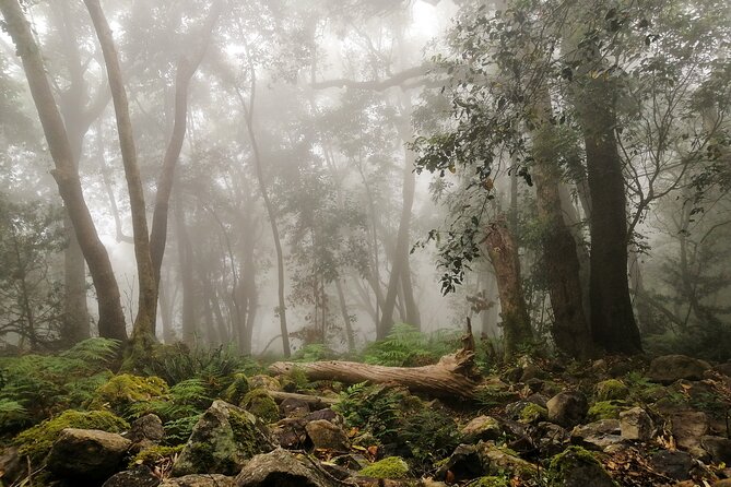 Skeleton Gorge Hike up Table Mountain - Key points at a glance