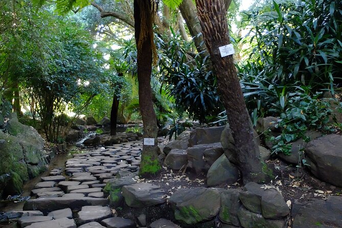 Skeleton Gorge Hike up Table Mountain - Fitness, terrain, and who should book
