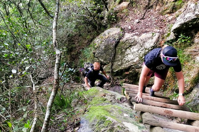 Skeleton Gorge Hike up Table Mountain - Timing, meeting point, and the ride down