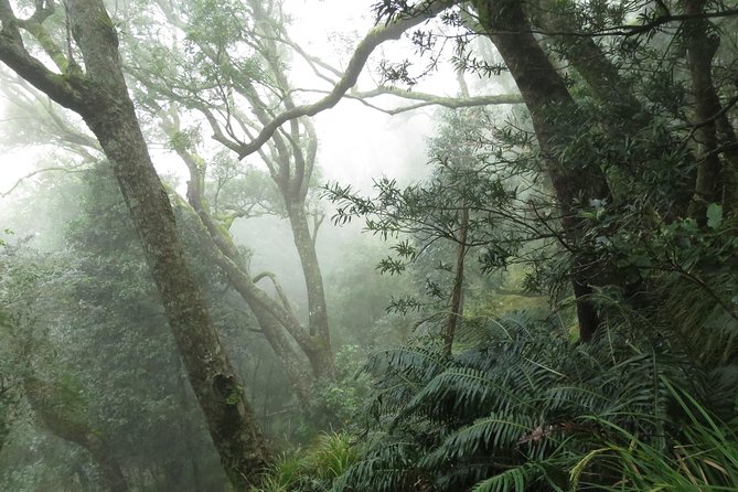 Skeleton Gorge to Table Mountain summit - What the small group changes