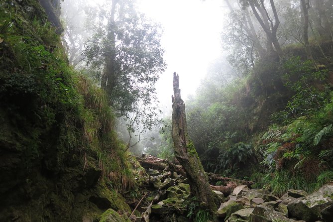 Skeleton Gorge to Table Mountain summit - Is $115.44 a fair price?