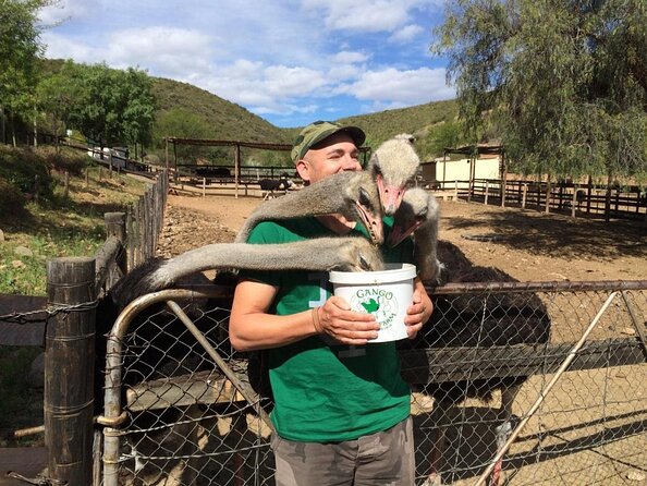 Skip the Line: Highgate Ostrich Farm Tour Ticket - Highgate Ostrich Farm at a glance
