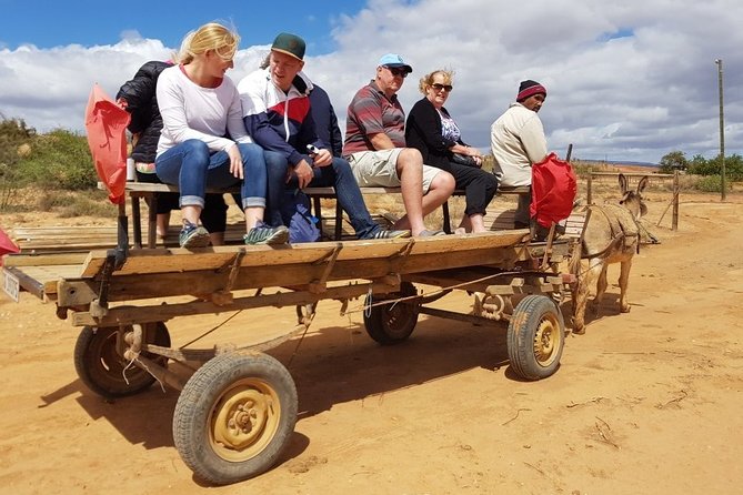 Skip the Line: Highgate Ostrich Farm Tour Ticket - Feather, egg, and leather demonstrations