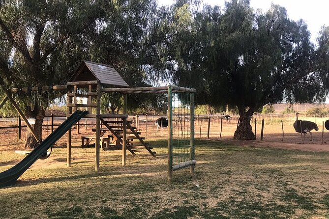 Skip the Line: Highgate Ostrich Farm Tour Ticket - Guides who shape the experience