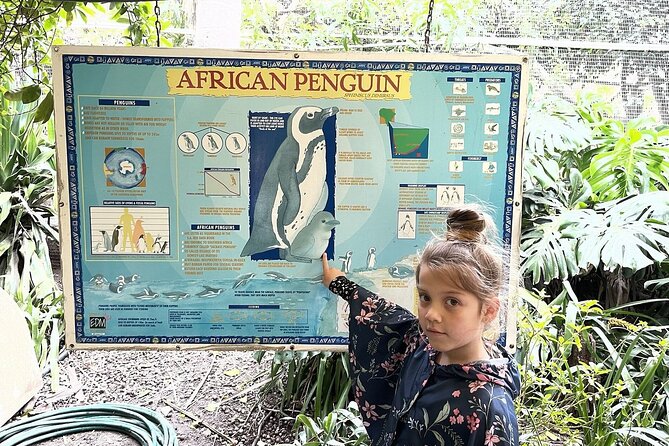 Skip the Line: World of Birds Admission Ticket - The Monkey Jungle is the liveliest stop