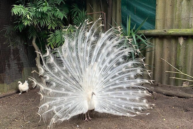 Skip the Line: World of Birds Admission Ticket - Price, booking, and real value