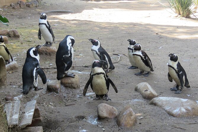 Skip the Line: World of Birds Admission Ticket - Weather, access, and practical planning