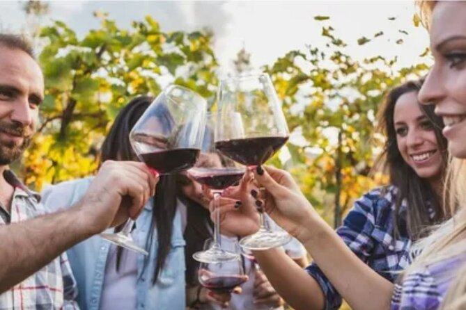 Small Group 3 Day Garden Route Adventure from Cape Town - Benguela Cove and five wine tastings