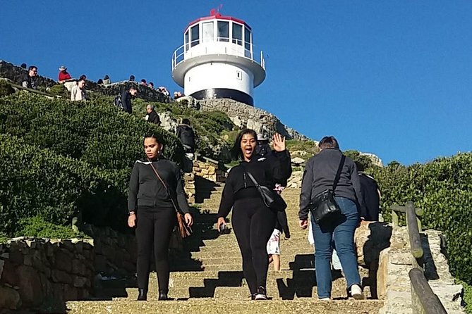 Small Group Cape Of Good Hope Penguins Wine Tasting Inc Park Fees - Why this day works for first-time Cape Town visitors