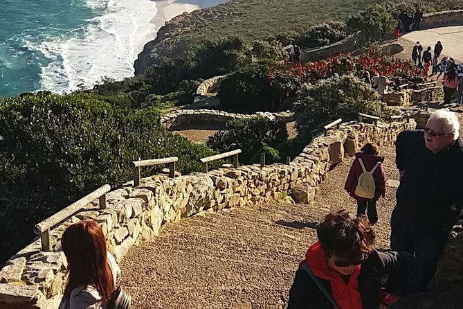Small Group Cape Of Good Hope Penguins Wine Tasting Inc Park Fees - Constantia wine gives the day a gentler finish