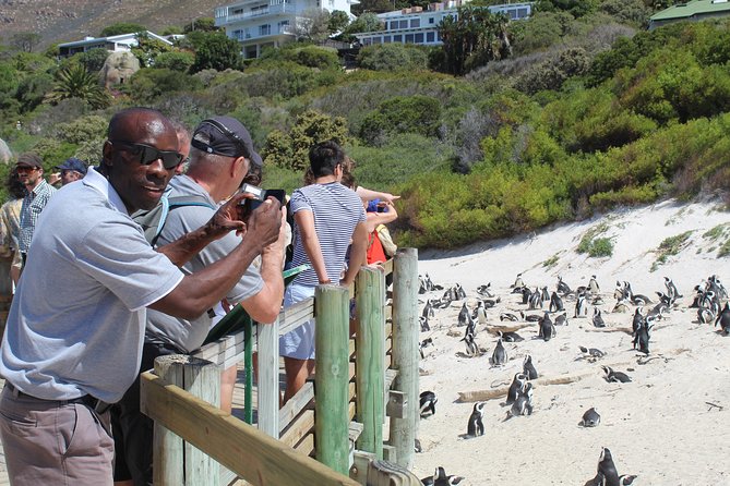 Small Group Private Tour To Cape Point Penguins From Cape Town Excl Entry Fees - Hout Bay gives you an optional harbor choice