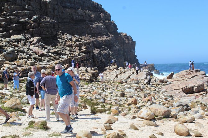 Small Group Private Tour To Cape Point Penguins From Cape Town Excl Entry Fees - Cape of Good Hope brings wildlife into the picture