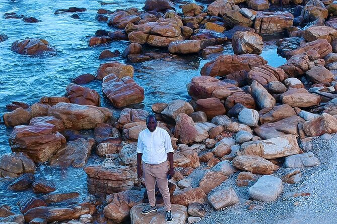 Small Group Table Mountain Penguin Colony and Cape Point Tour - Chapman’s Peak: the scenic road highlight