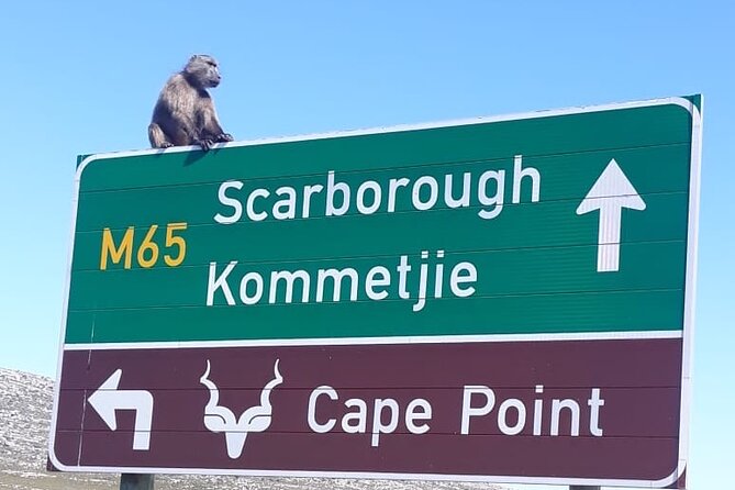 Small Group Table Mountain Penguin Colony and Cape Point Tour - Table Mountain and the cable car question