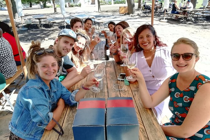 Small Group tour to Stellenbosch with wine tasting - DeMorgenzon, where the vines get their own soundtrack