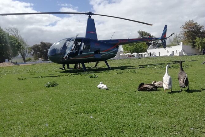 Small Group tour to Stellenbosch with wine tasting - Group size, guide, and the feel of the day