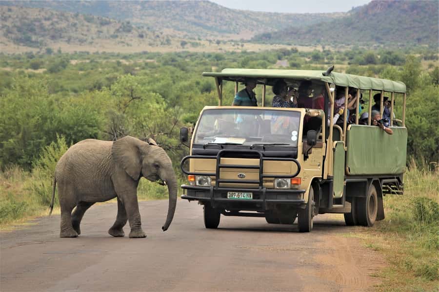 South Africa Joburg: Pilanesberg National Park Day Tour - Key details that shape the day