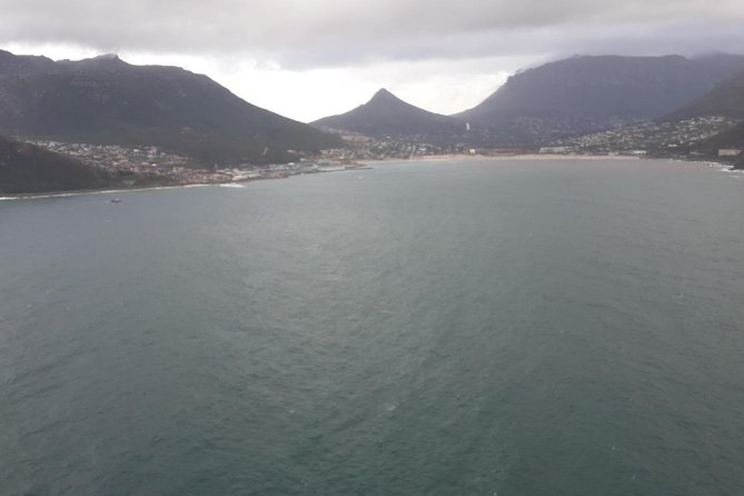 South Africa's Cape Peninsula Tour - Hout Bay and the optional seal trip