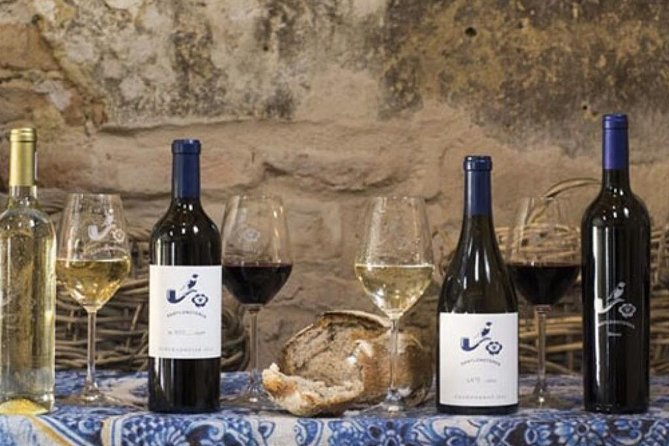 Splendour in the Winelands - Private Tour - Who should book this tour?