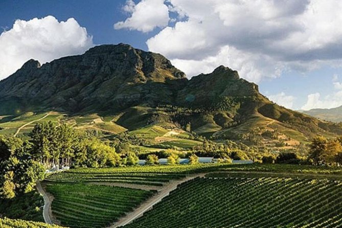 Splendour in the Winelands - Private Tour - Stop one: gardens, estate wines, and local deli boards