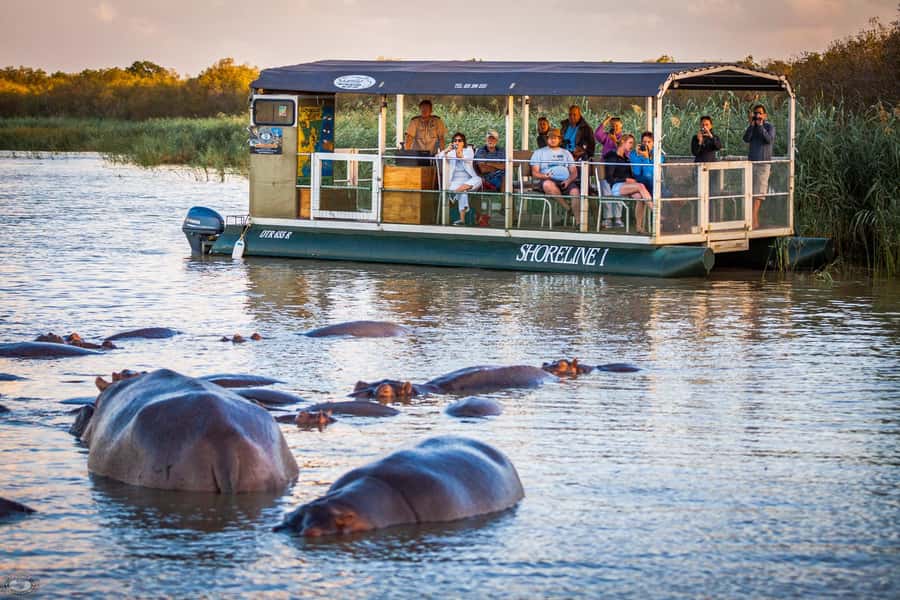St Lucia: Hippo and Crocodile Cruise on a 15-Seat Vessel - The five things I would know before booking
