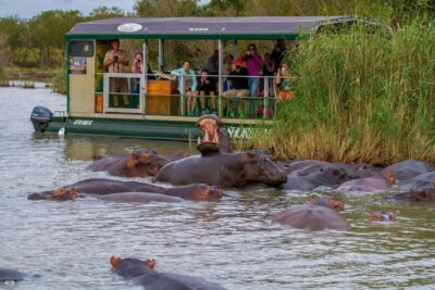 St Lucia: Hippo and Crocodile Cruise on a 15-Seat Vessel