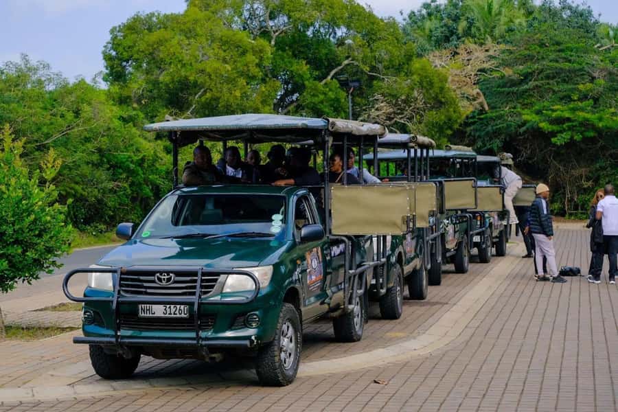 St Lucia: iSimangaliso Wetland Park: Full-Day/Half-Day Tour - Key points to know before booking