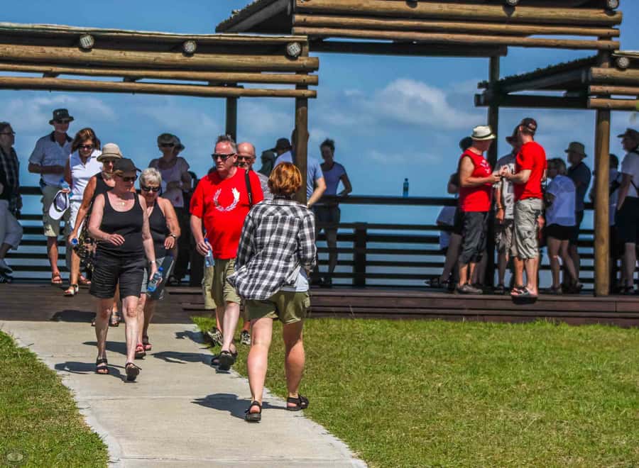 St Lucia: iSimangaliso Wetland Park: Full-Day/Half-Day Tour - Starting in St Lucia at 8:00am