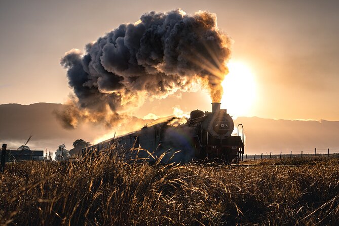 Steam Train to Elgin Railway Market - What the Cape Town to Elgin train day is really like