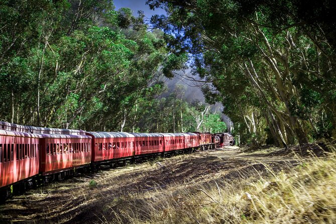 Steam Train to Elgin Railway Market - Delays and the steam locomotive question
