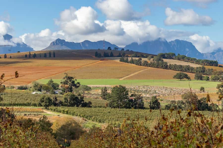 Stellenbosch: Devon Valley Vineyards Bicycle Tour w. Lunch - Five things to know before you book