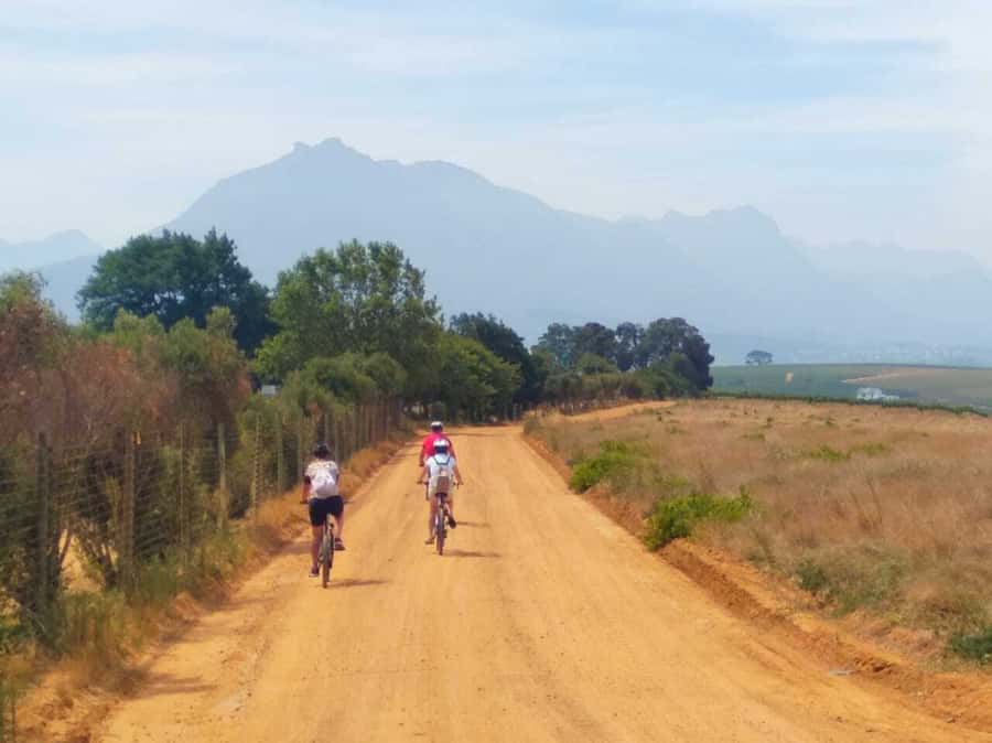 Stellenbosch: Devon Valley Vineyards Bicycle Tour w. Lunch - Why a bicycle changes the Stellenbosch experience