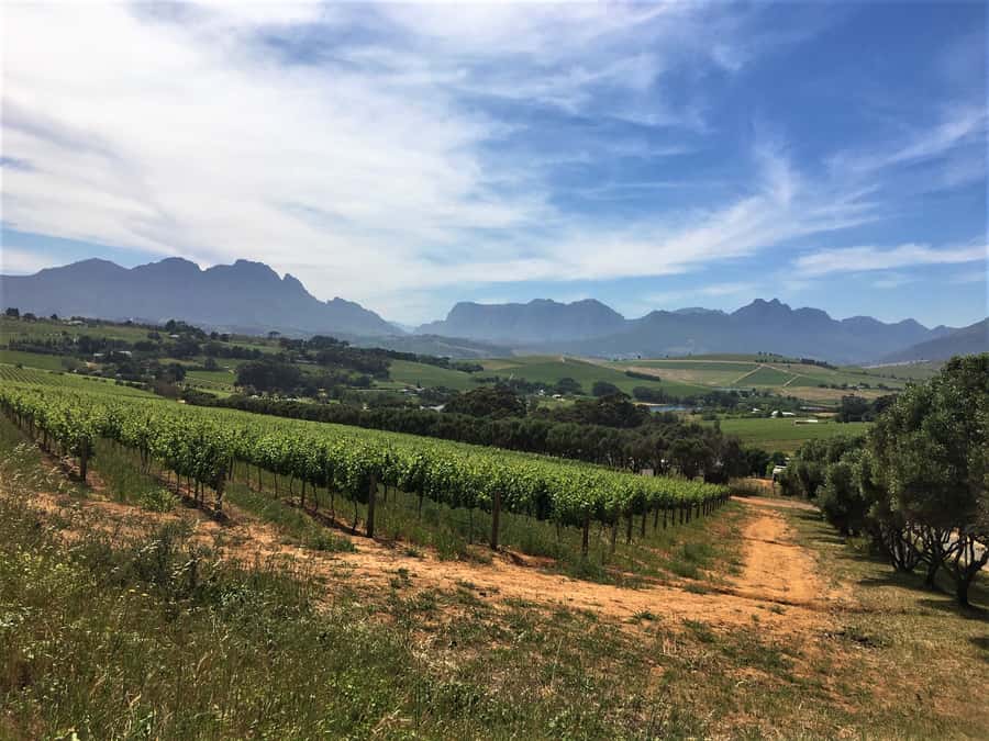 Stellenbosch: Devon Valley Vineyards Bicycle Tour w. Lunch - Between the farms on quiet Devon Valley roads