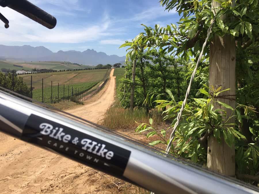 Stellenbosch: Devon Valley Vineyards Bicycle Tour w. Lunch - Starting from Cape Town or Stellenbosch