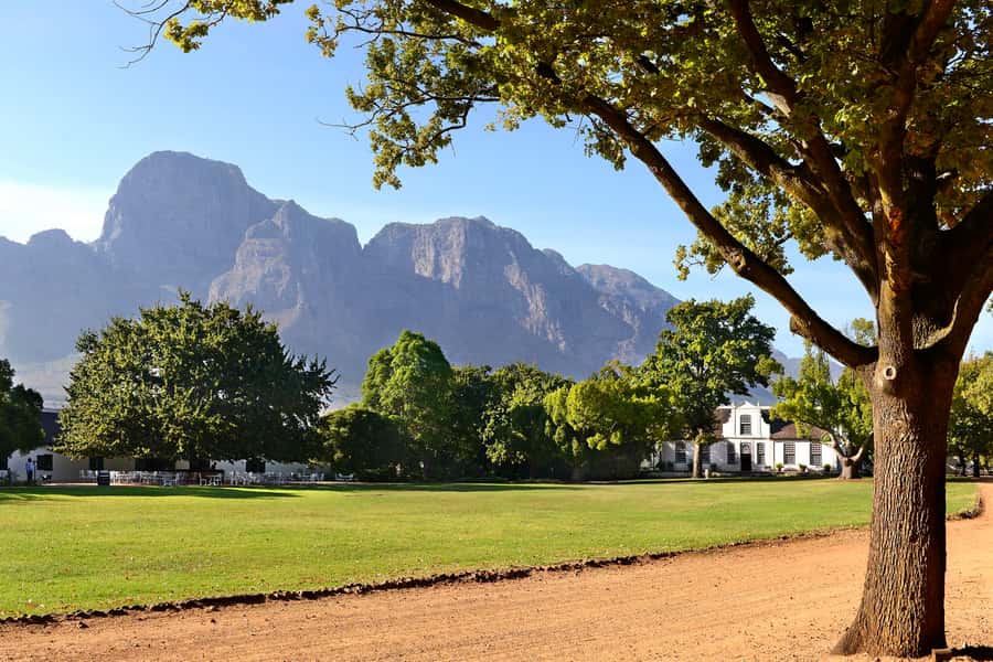 Stellenbosch: Eastern Route Hop-On Hop-Off Wine Tour - Starting in Stellenbosch with an eight-and-a-half-hour day