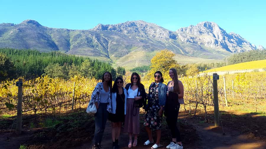Stellenbosch: Eastern Route Hop-On Hop-Off Wine Tour - Helshoogte Pass makes the route worthwhile