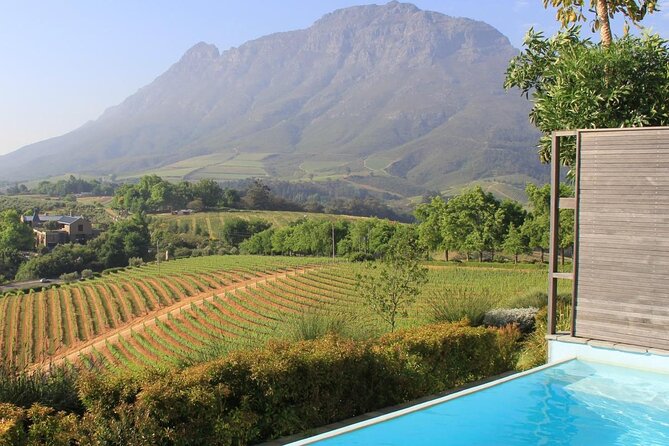 Stellenbosch & Franschhoek 20 Wine Tasting + Lunch Shared Tour - Four estates, five practical things to know