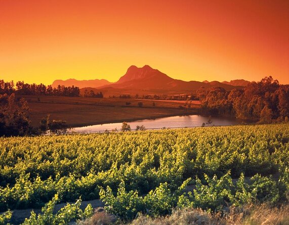 Stellenbosch, Franschhoek and Paarl Winelands Full Day Trip from Cape Town - Five useful things to know before you book