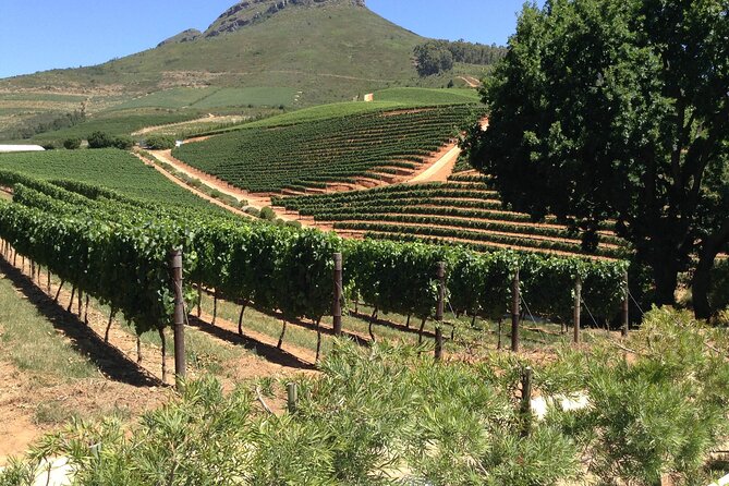 Stellenbosch Franschhoek Full-Day Tour with Cheese Tasting - Why this Winelands day works from Cape Town