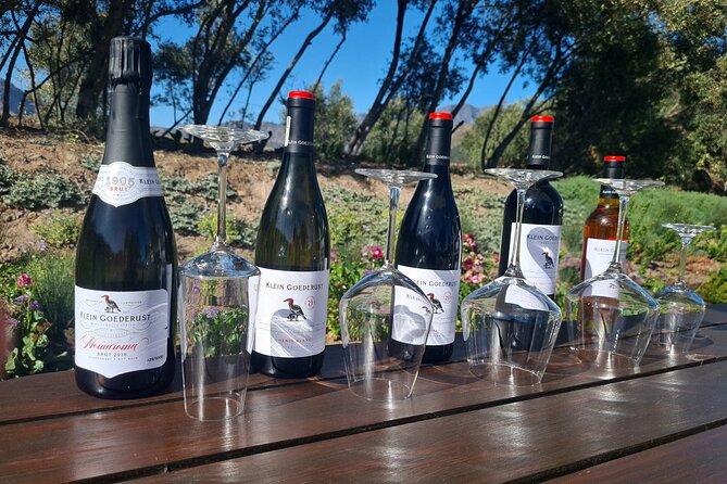 Stellenbosch & Franschhoek Wine Tasting Private Tour incl. Lunch - Timing, comfort, and practical details